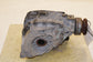 14-24 Maserati Ghibli S Q4 3L AWD Rear Axle Differential Carrier 2.80 ratio 57K - Alshned Auto Parts