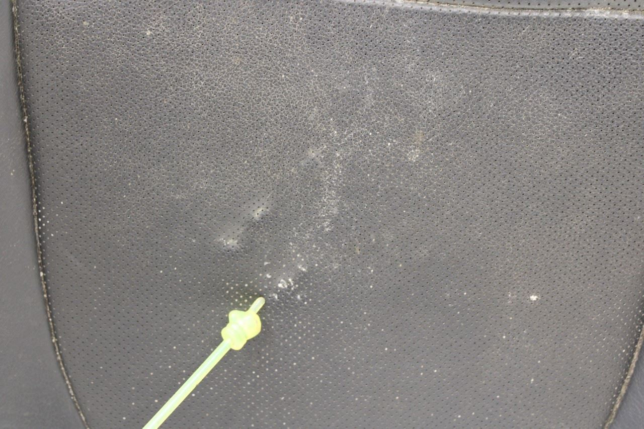 2015-16 Ford F150 Super Cab Lariat Front Passenger Right Side Seat Lower Cushion - Alshned Auto Parts