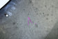 2011-2017 Hyundai Veloster Base Front Left Driver Fender Panel 66311-2V010 *ReaD - Alshned Auto Parts