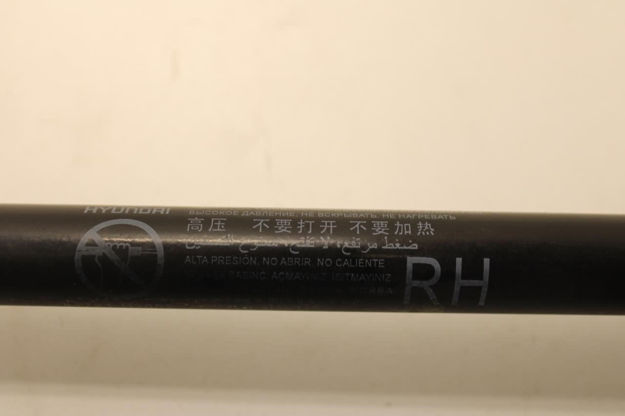 2015-2021 Hyundai Tucson Value Rear Left and Right Liftgate Lift Support Strut - Alshned Auto Parts