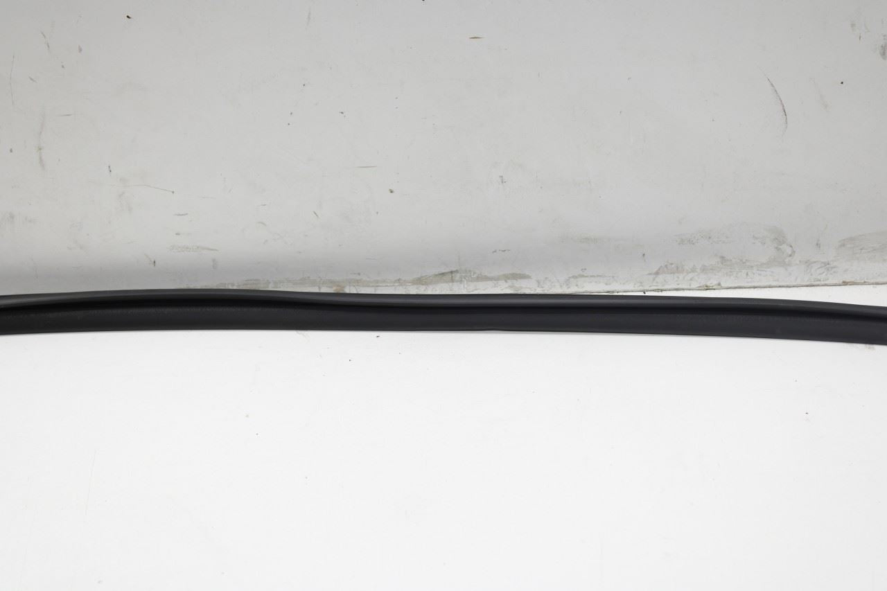 17-22 Nissan Rogue Sport SL AWD FR LH Door Run Channel Belt Outer Inner Molding - Alshned Auto Parts