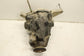 18-24 Ford Expedition 3.5L 4x2 Rear Axle Differential 9.75 ring 3.31 ratio 110K - Alshned Auto Parts