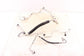 21-25 Infiniti QX50 2.0L AC Conditioning Suction Discharge Liquid Hose Line Set - Alshned Auto Parts