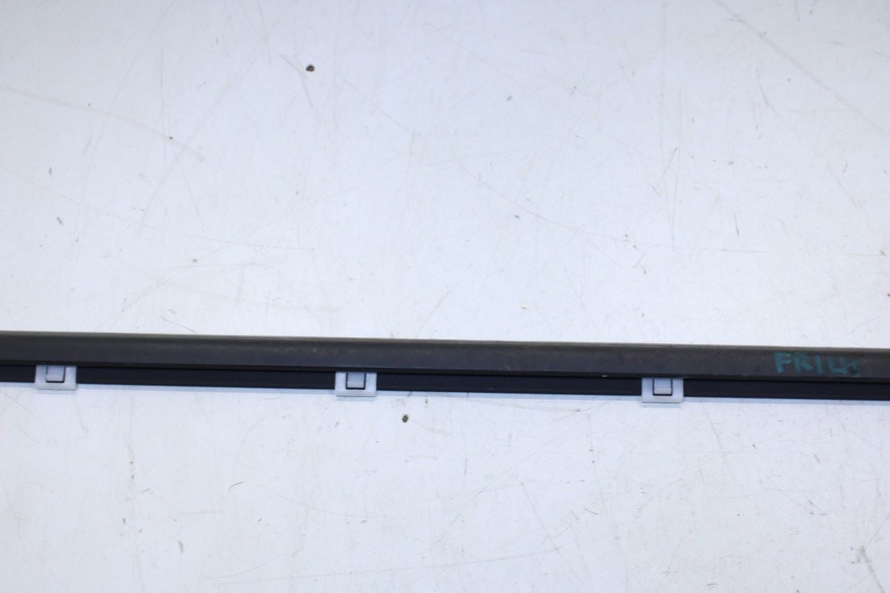 2016-20 Hyundai Elantra Front Left Door Run Channel w/ Belt Molding Weatherstrip - Alshned Auto Parts