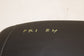 2011-17 BMW X3 xDrive28i Front Seat Passenger Right Side Backrest Upper Cushion - Alshned Auto Parts