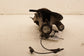 2019-2022 Jeep Cherokee Latitude Front Right Passenger Side Spindle Knuckle Hub - Alshned Auto Parts