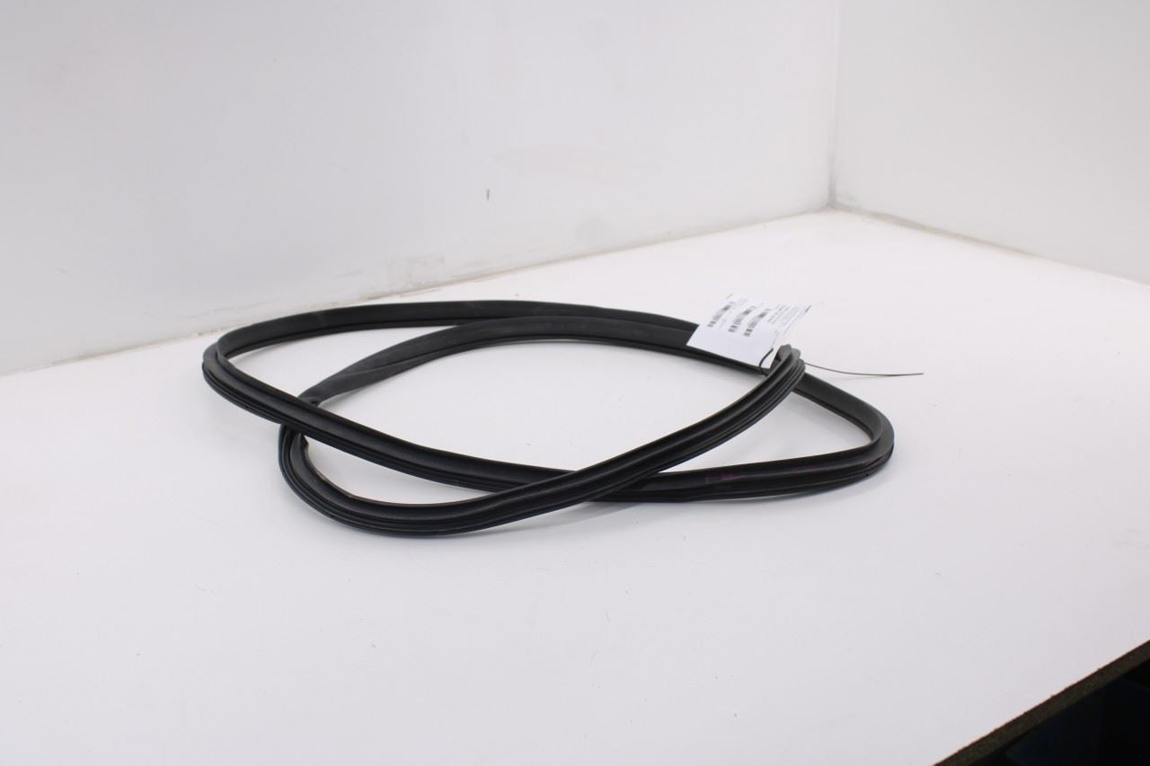 2019-2026 Ram 1500 Big Horn Front Left Side Door Weatherstrip On Body 68402032AA10