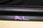 2012-18 Ram 1500 Big Horn Rear Left Door Run Channel w/ Belt Inner Weatherstrip - Alshned Auto Parts