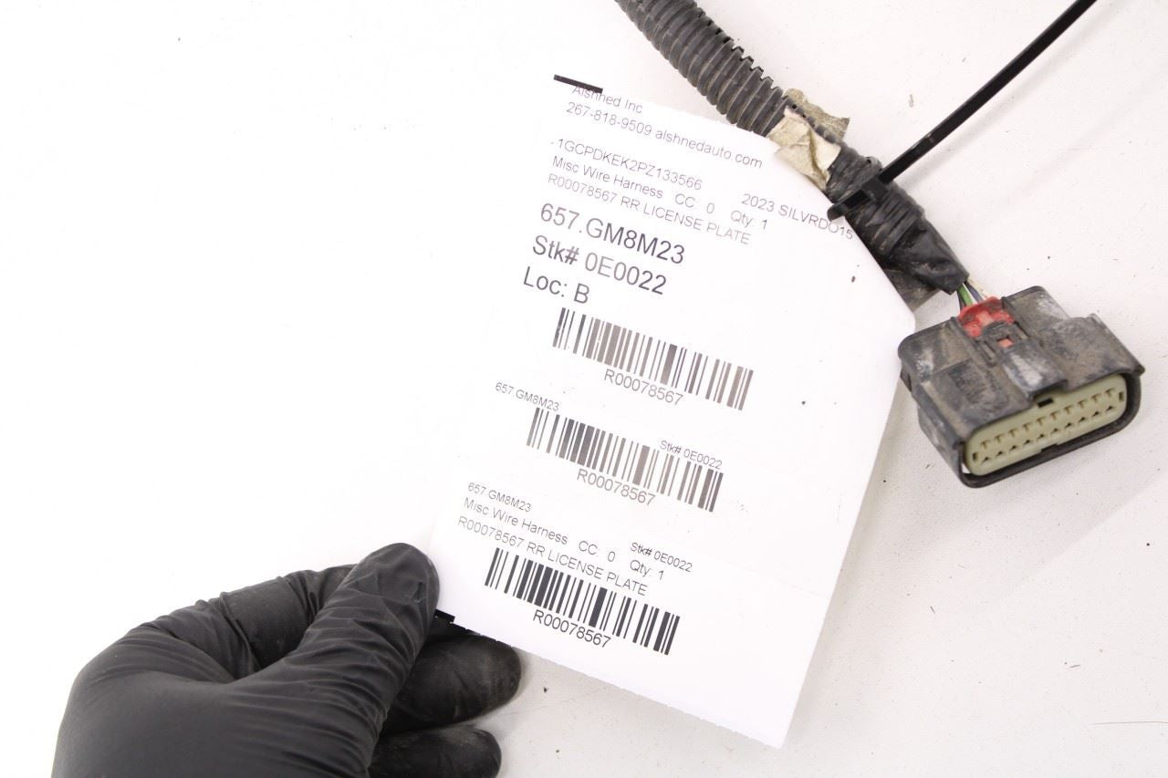 2022-2024 Chevrolet Silverado LT-L Rear License Plate Lamps with Wire Harness - Alshned Auto Parts