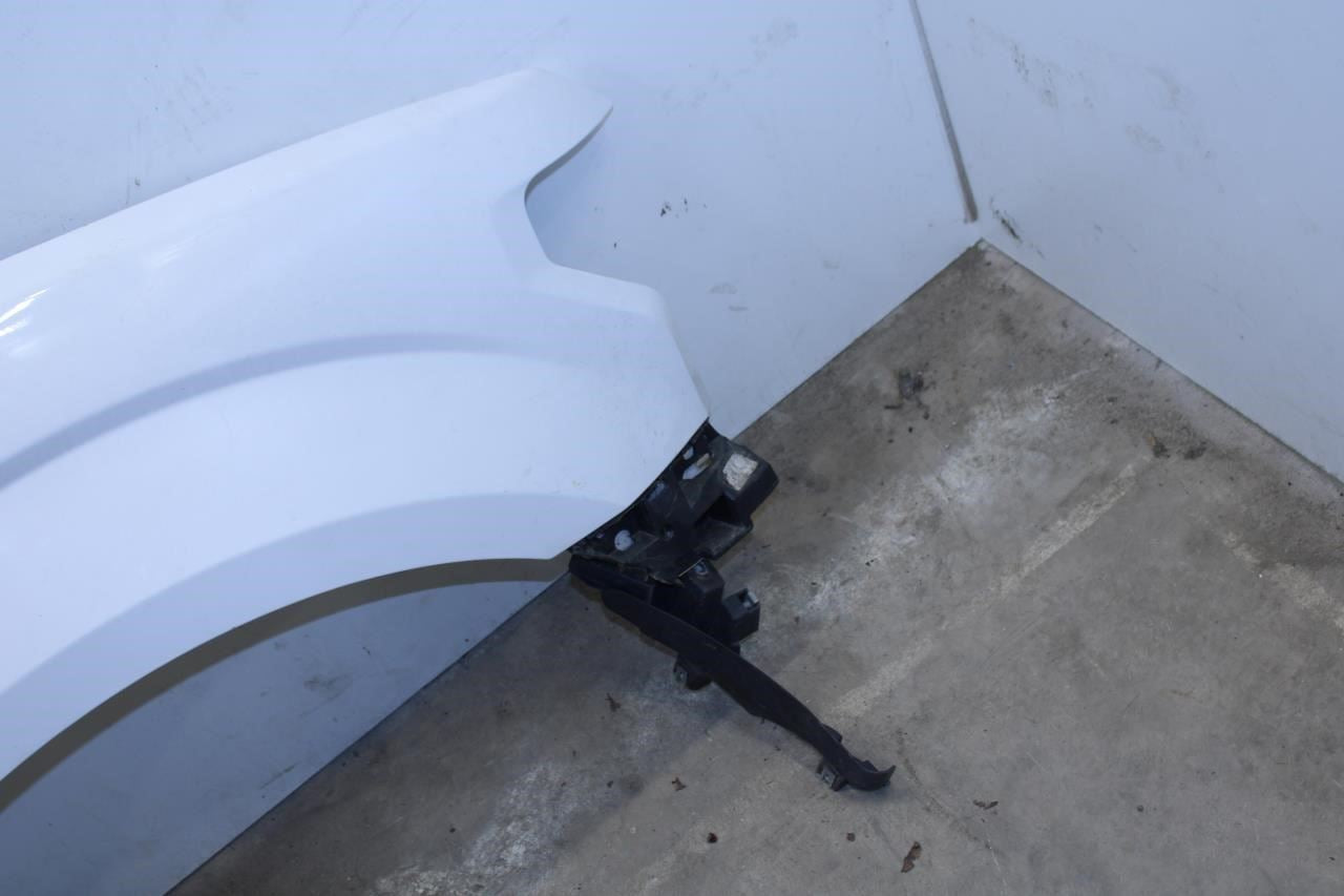 2015-20 Ford F150 XL Front Right Passenger Fender Panel VL3Z-16005-B OEM *ReaD* - Alshned Auto Parts