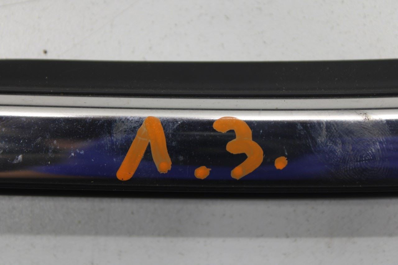 17-22 Nissan Rogue Sport SL AWD RR LH Door Run Channel Belt Outer Inner Molding - Alshned Auto Parts