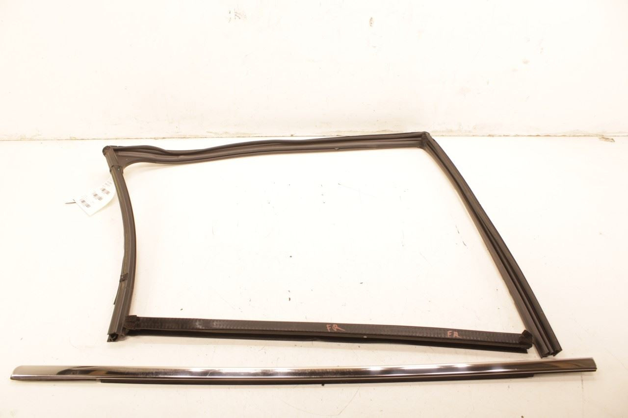 18-24 Ford Expedition MAX XLT Front Right Door Run Channel w/ Belt Weatherstrips - Alshned Auto Parts