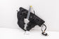16-23 Mazda CX-9 Grand Touring Front Right Side Door Window Regulator w/ Carrier - Alshned Auto Parts