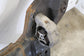 2011-2018 Volvo S60 FWD Front Suspension Crossmember Subframe 31406809 OEM - Alshned Auto Parts