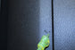 2013-2018 Ram 1500 Crew Cab Laramie Rear Right Door Trim Panel 1VZ401X9AG *ReaD* - Alshned Auto Parts