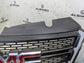 2010-2015 GMC Terrain Front Upper Grille w Emblem 22764303 OEM