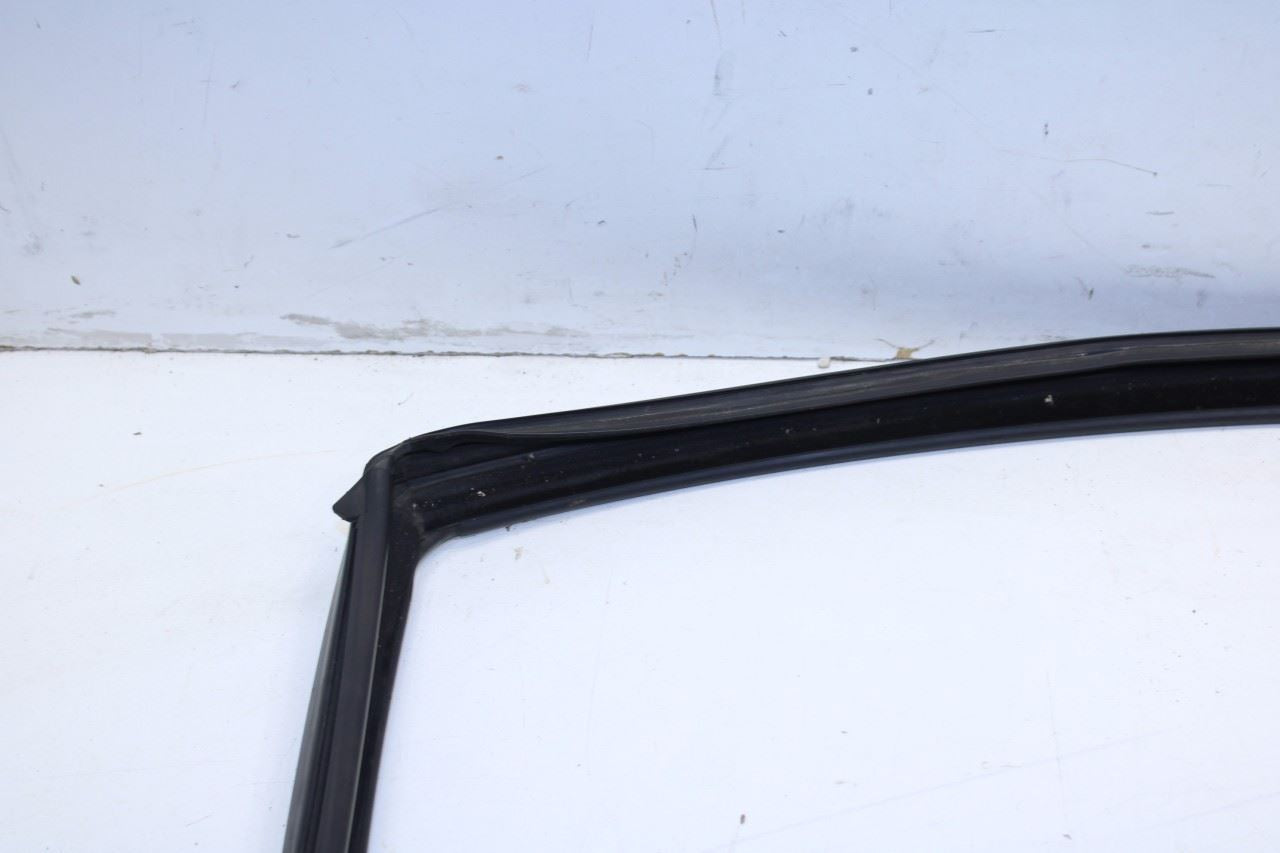 11-18 Ram 1500 Crew Cab Laramie Front Left Door Run Channel w/ Belt Weatherstrip - Alshned Auto Parts