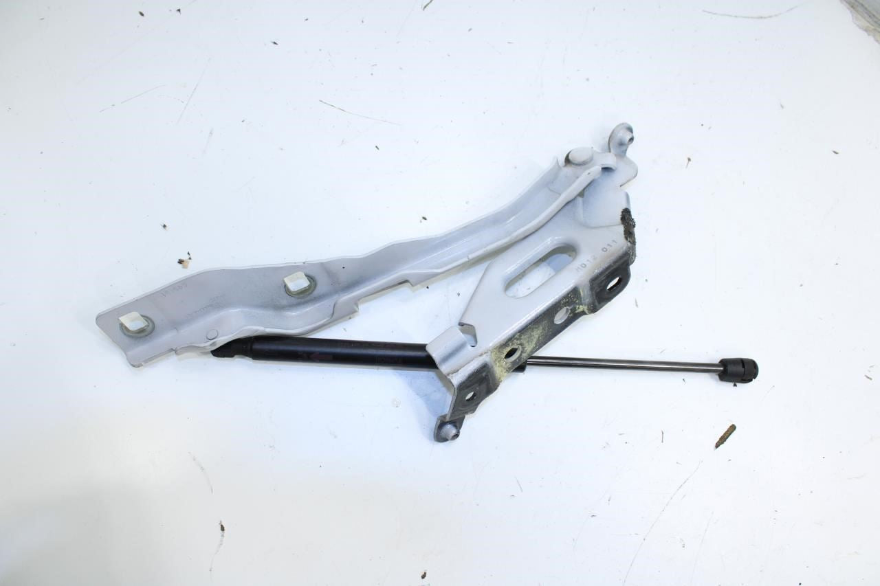 2015-2020 Ford F150 XL Front RH and LH Hood Hinge w/ Lift Strut FL34-16801-A OEM - Alshned Auto Parts