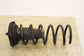 15-16 Volvo S60 T5 Premier FWD Rear Suspension Right and Left Side Coil Spring - Alshned Auto Parts