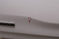 19-24 Ram 1500 Big Horn New Body Rear Tailgate Shell Panel 68278358AF OEM *ReaD*5