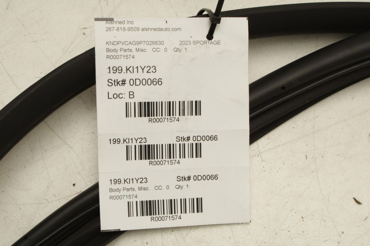 2023-25 Kia Sportage Hybrid EX Front Right Door Weatherstrip On Body 82120-P1000 - Alshned Auto Parts