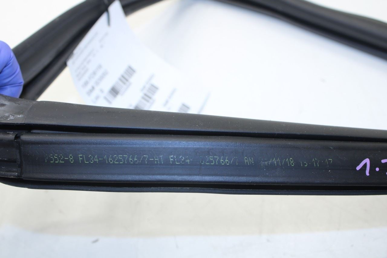 2015-2020 Ford F150 XL Super Cab Rear Left Door Run Channel w/ Belt Weatherstrip - Alshned Auto Parts