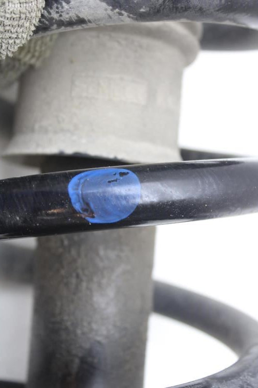 2018-2021 Ford Expedition Rear Left Side Shock Strut Absorber JL14-18080-AE OEM - Alshned Auto Parts