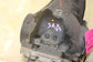 20-2024 Subaru WRX Premium AWD MT Rear Axle Differential Carrier 4.11 ratio 59K - Alshned Auto Parts