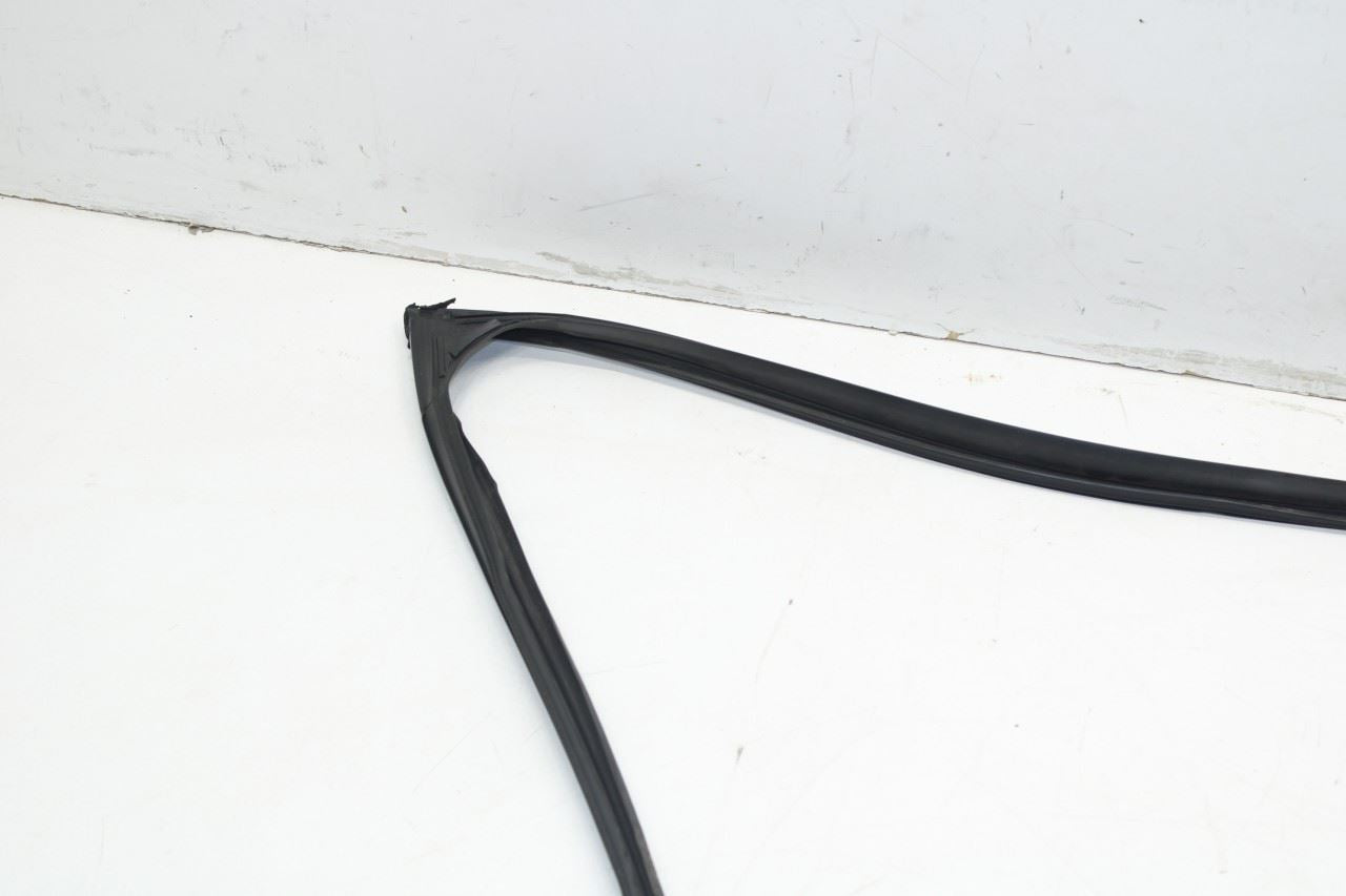 2013-2020 Lexus GS350 Front Left Door Window Run Channel with Belt Outer Molding - Alshned Auto Parts