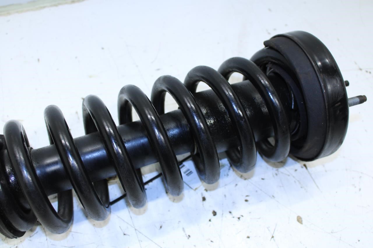 2015-17 Ford F150 Platinum RWD Front Side Shock Strut Absorber FL34-18045-BC OEM - Alshned Auto Parts