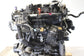 23-25 Kia Sportage Hybrid EX 1.6L turbo Gasoline Engine VIN G 8th digit HEV 56K - Alshned Auto Parts
