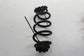 2017-22 Nissan Rogue Sport SL AWD Rear Right and Left Suspension Coil Spring Set - Alshned Auto Parts