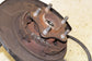 2014-17 Infiniti QX50 Rear Right Passenger Side Spindle Knuckle Hub 43018-1BA0B - Alshned Auto Parts
