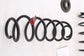 2022-24 Toyota Corolla LE Rear Right Passenger and Left Driver Side Coil Spring2