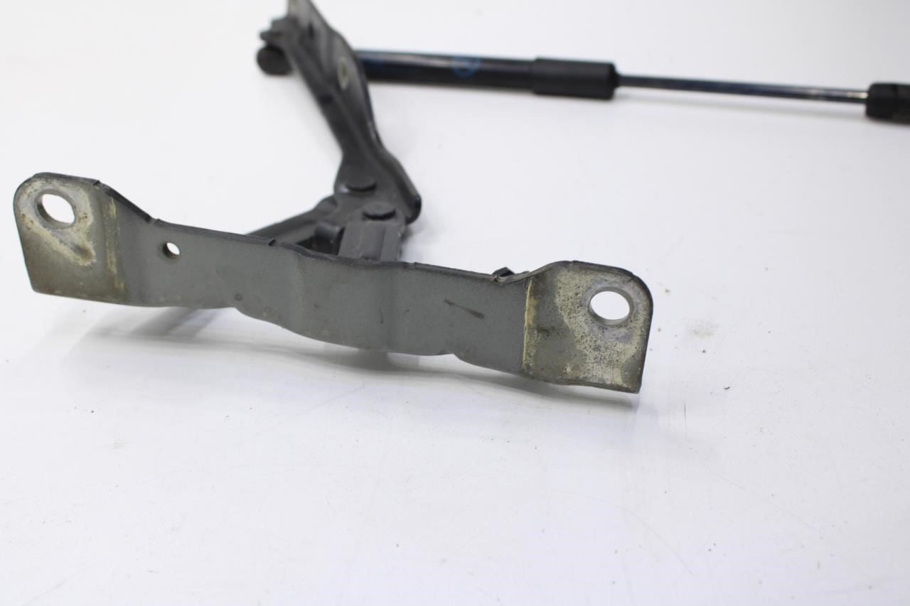 2020-2022 Hyundai Sonata SE Front Right and Left Hood Hinge w/ Lift Cylinder Set - Alshned Auto Parts