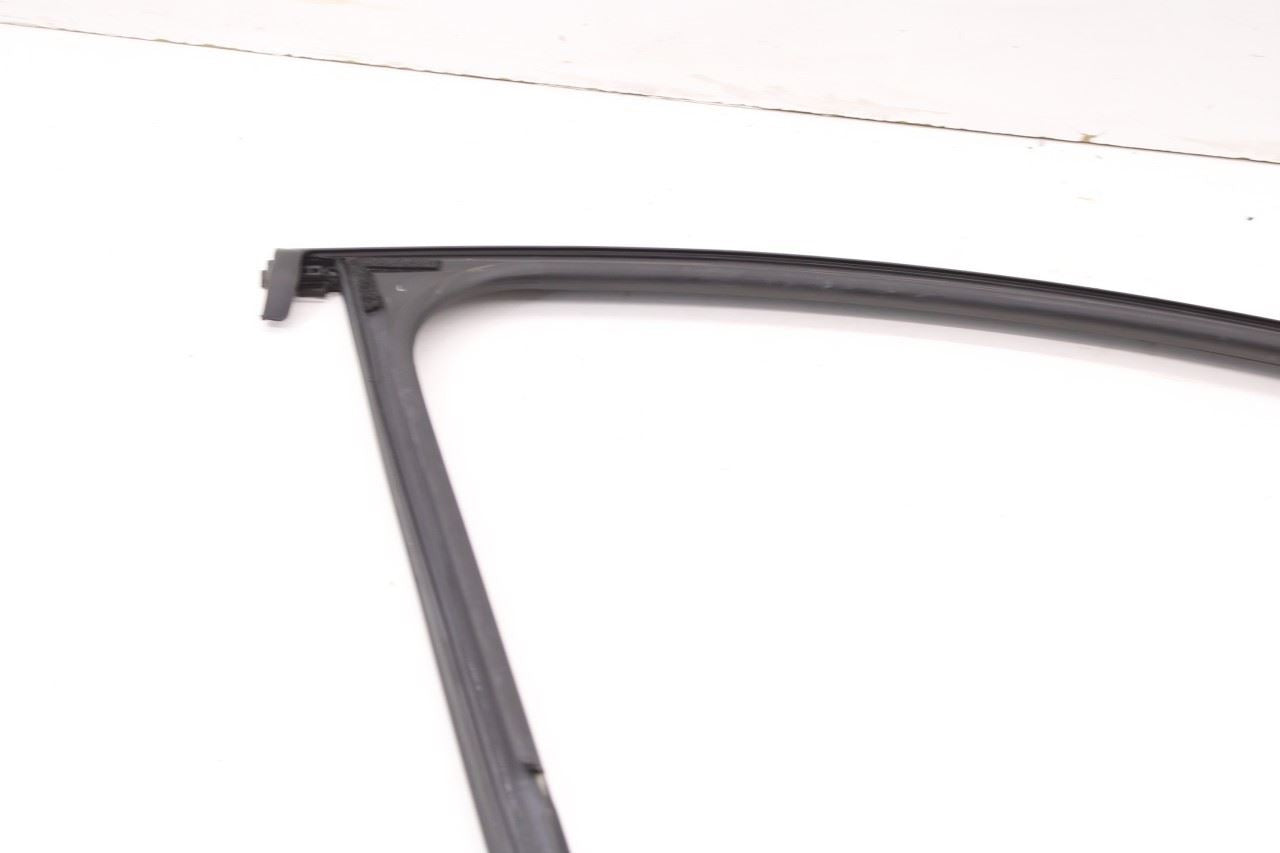 19-23 Hyundai Santa Fe SEL Front Left Door Run Channel w/ Belt Weatherstrip Set - Alshned Auto Parts