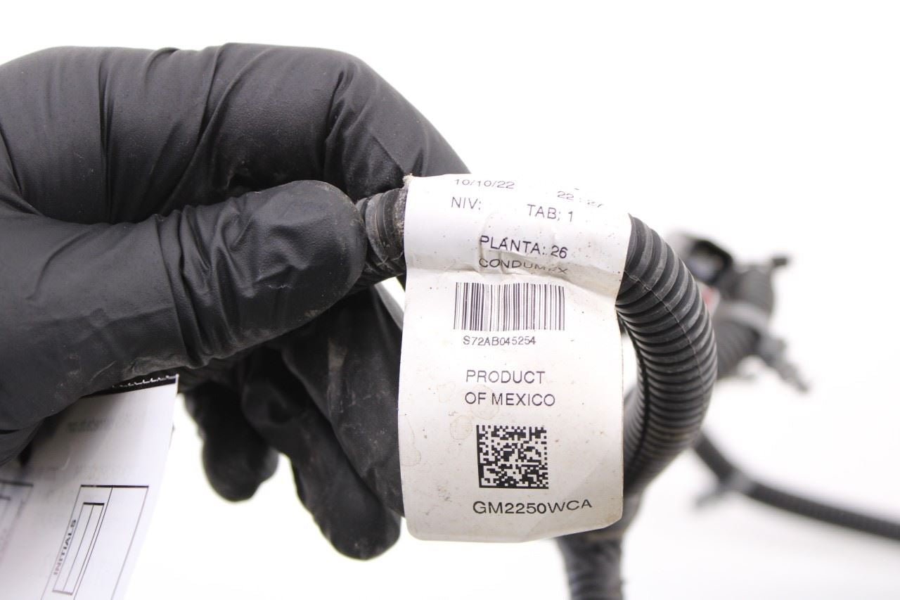 2022-2024 Chevrolet Silverado LT-L Rear License Plate Lamps with Wire Harness - Alshned Auto Parts