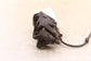 2011-2020 Toyota Sienna LE Front Left Driver Side Brake Disc Caliper 47750-0E031 - Alshned Auto Parts