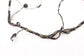 2013-2016 Ford F250 Crew Cab Lariat Front Left Door Wire Harness DC3T-14631-BKE - Alshned Auto Parts