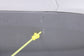 15-17 Toyota Sienna LE Rear Left Slide Door Trim Panel w Sunshade 67063-08220-B0 - Alshned Auto Parts