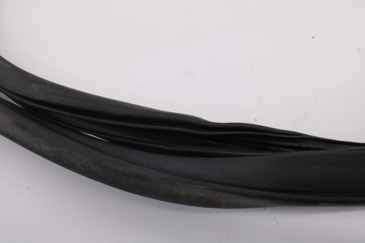 2019-2026 Ram 1500 Big Horn Crew Cab Rear Left Side Door Weatherstrip On Body5