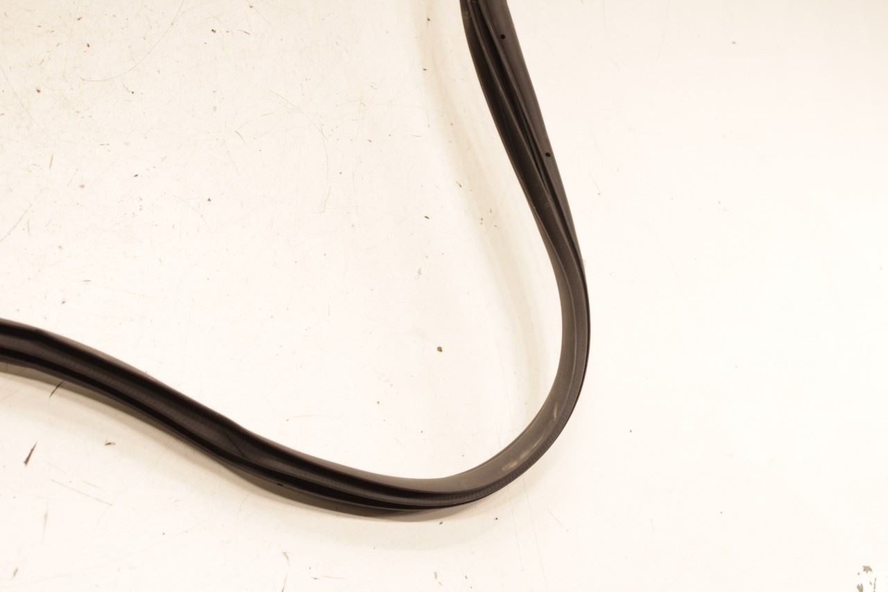 22-25 Hyundai Tucson SEL Front Right Side Door Weatherstrip On Body 82120-CW000 - Alshned Auto Parts