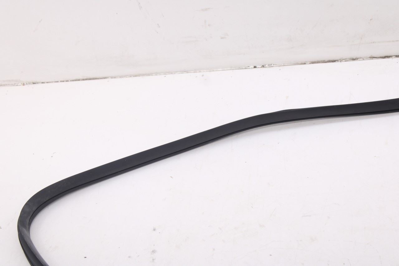 2020-2026 Hyundai Palisade Limited AWD Front Right Door Weatherstrip On Body4