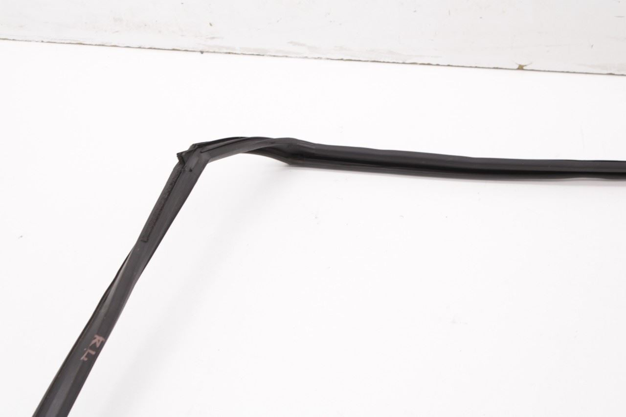 2013-2019 Nissan Sentra SL Rear Left Door Run Channel with Belt Outer Molding - Alshned Auto Parts