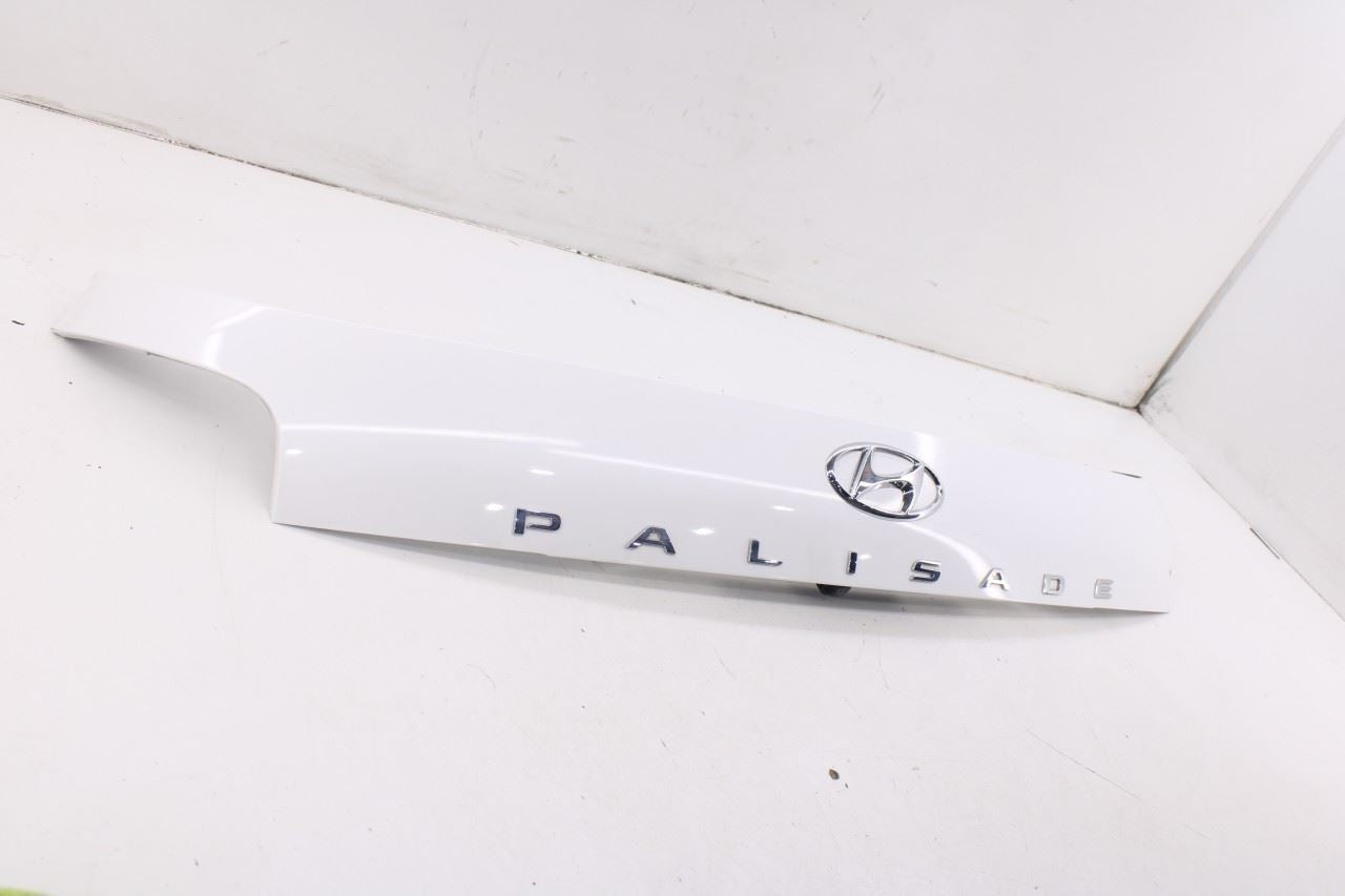 2020-2022 Hyundai Palisade Limited AWD Rear Tailgate Exterior Molding 87310S80202