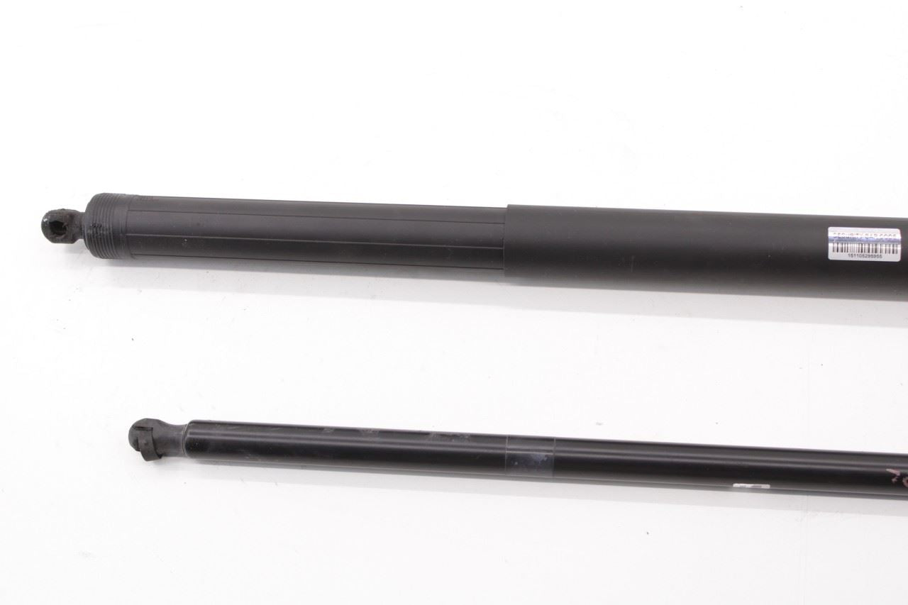 17-2020 Chrysler Pacifica Rear RH and LH Liftgate Power Lift Strut 68230340AD - Alshned Auto Parts