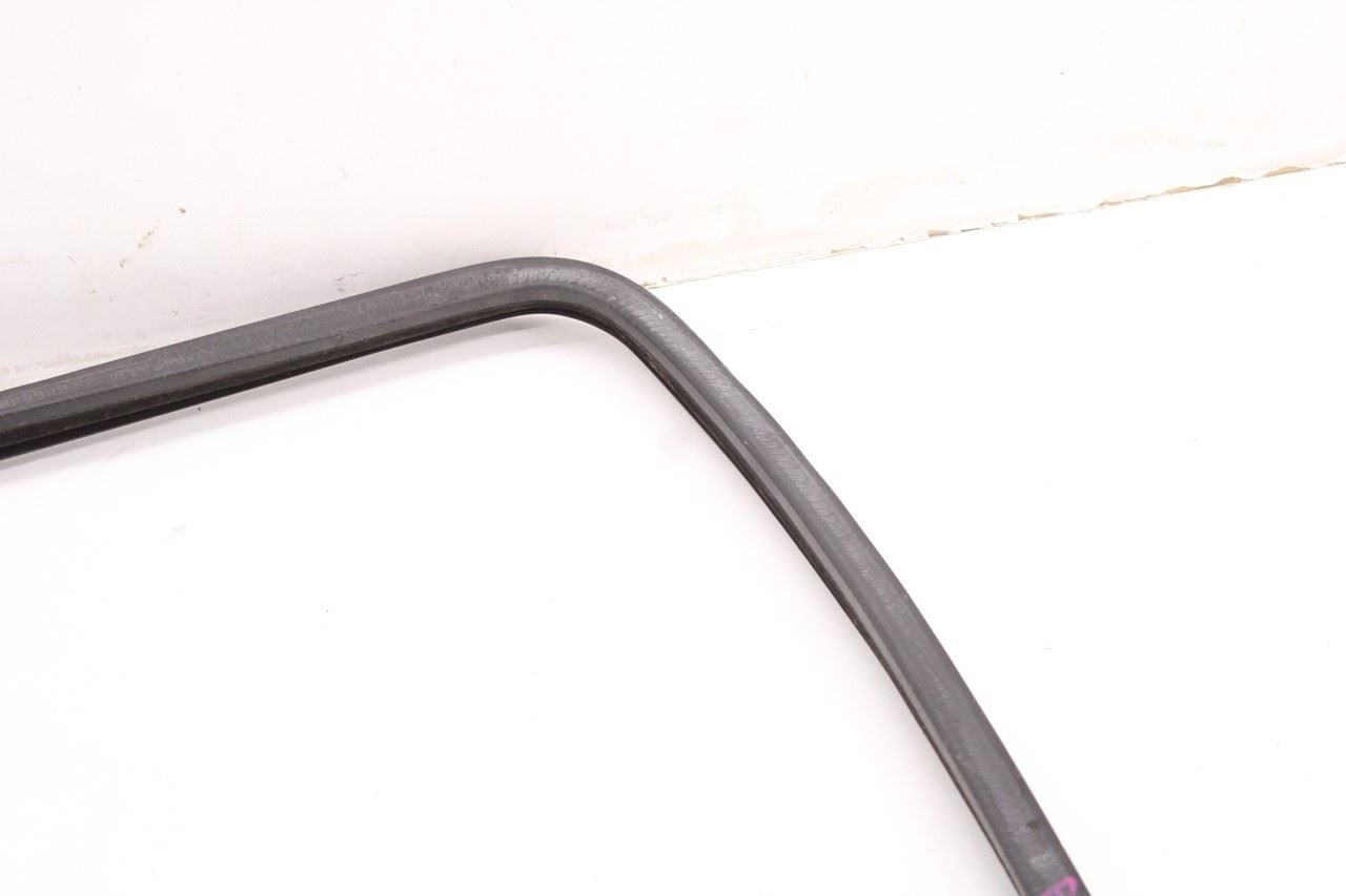 99-16 Ford F-250 Crew Cab Lariat Rear Left Door Run Channel w/ Weatherstrip Set - Alshned Auto Parts