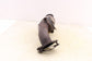 2023-2025 Chevrolet Silverado LT-L 2.7L Exhaust System Pipe 12713947 OEM *ReaD* - Alshned Auto Parts