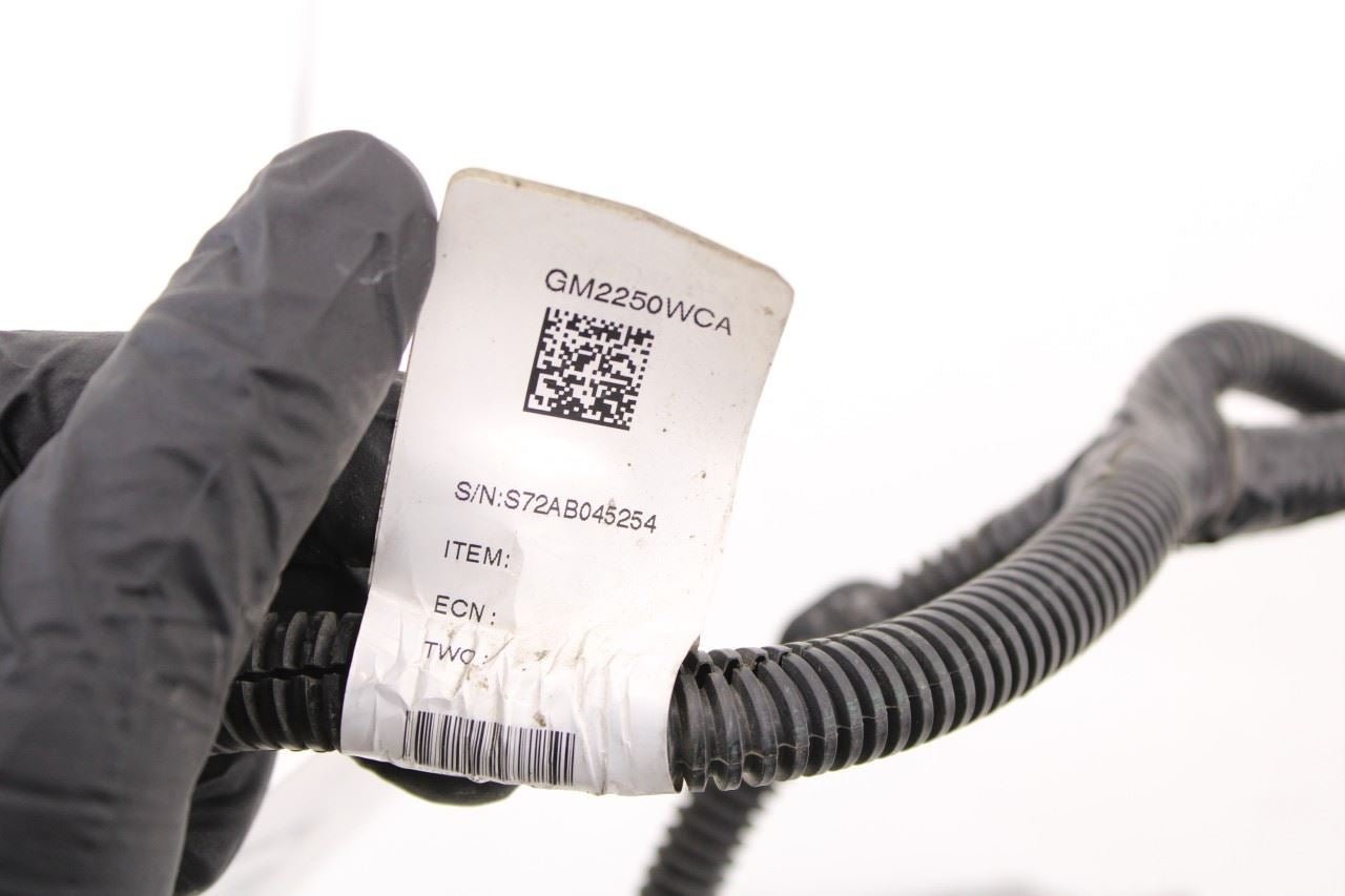 2022-2024 Chevrolet Silverado LT-L Rear License Plate Lamps with Wire Harness - Alshned Auto Parts