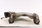 2015-16 Subaru Impreza Sport Premium 2.0L Front Exhaust Manifold Pipe 44620AD170 - Alshned Auto Parts